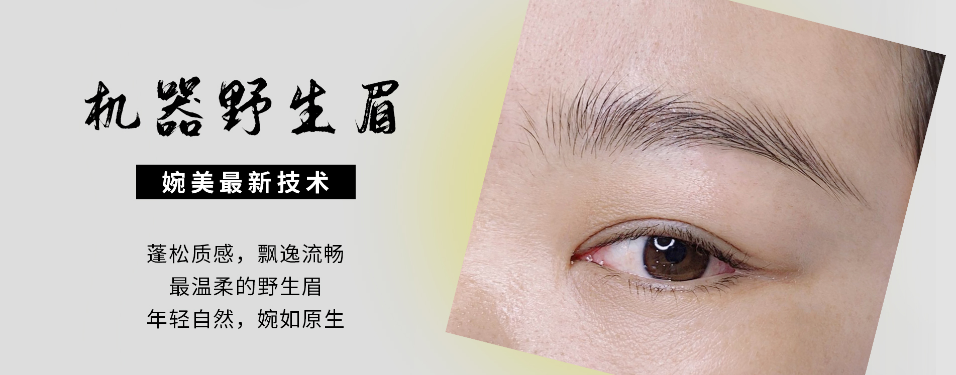 机器野生眉